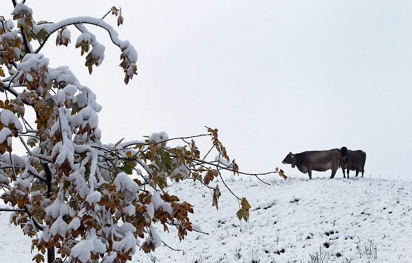 Wintereinbruch in Bayern: Die Bilder aus München und dem Umland