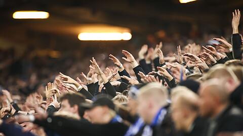 Fußballfans jubeln im Stadion.