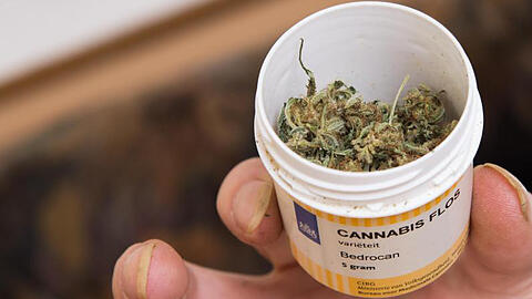 Dose mit Cannabis. Bundesweit verfügen gut 1000 Patienten über eine Ausnahmeerlaubnis zum medizinisch betreuten Gebrauch von Cannabis.