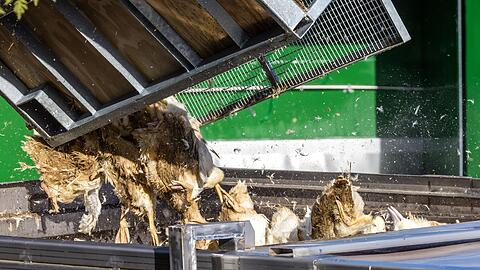 Wegen der Geflügelpest müssen in Deutschland derzeit viele Tausend Hühner, Gänse, Enten und Puten gekeult werden.