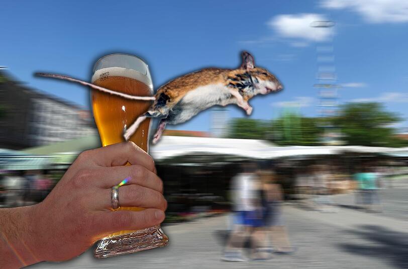 Der 37-jährige Mann bewarf Passanten wiederholt mit lebenden Mäusen. Zudem war er stark alkoholisiert. (Archivbilder)