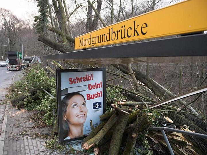 Ein umgestürzter und zerschnittener Baumstamm liegt in einer Haltestelle der Dresdner Verkehrsbetriebe.