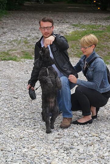 Merh Bilder vom Zamperl-Casting am Flaucher.