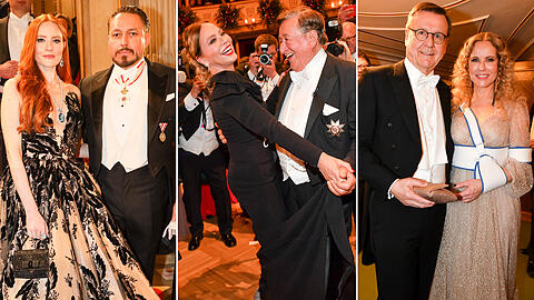 Auf dem 64. Wiener Opernball schwingen die Promis gut gelaunt das Tanzbein.