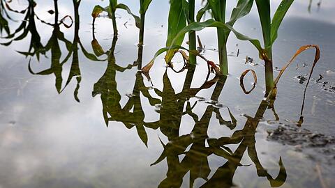 Die EU-Kommission will ein verbindliches Klimaziel für 2040. (Archivbild)