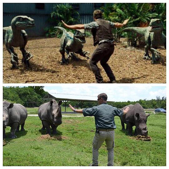 #JurassicZoo: Wenn Jurassic World Wirklichkeit wird