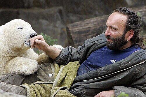 Der kleine Knut hatte auch den Sohn seines Tierpflegers Dörflein gebissen