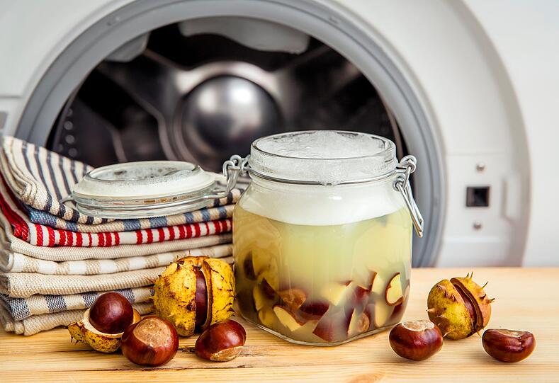 Auch gew&ouml;hnliche Kastanien, die im Herbst gesammelt werden k&ouml;nnen, enthalten Wasch-Saponine in der Schale. F&uuml;r das Gratis-DIY-Waschmittel m&uuml;ssen getrocknete Kastanien zerkleinert und in einem Stoffbeutel in die Trommel gelegt werden. Ebenso klappt das Waschen mit Kastanienmehl, das in Wasser eingeweicht und anschlie&szlig;end gesiebt wird. Das Kastanienwasser kann auch als Sp&uuml;lmittel genutzt werden.