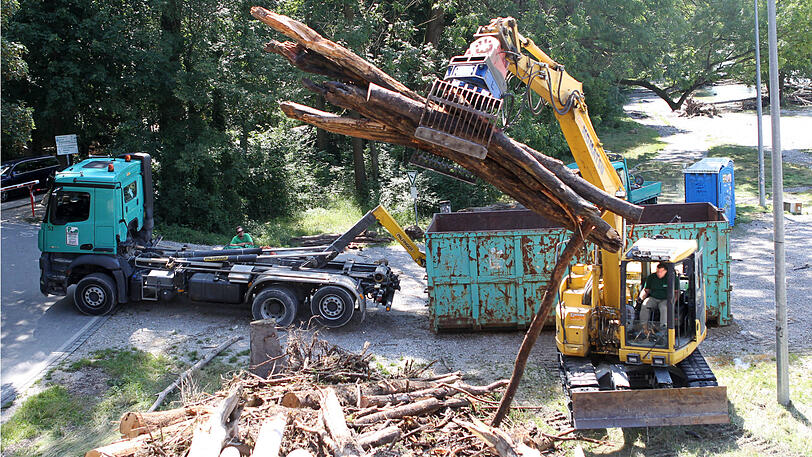 Mit Baggern wird das Holz aus dem Fluss gefischt.