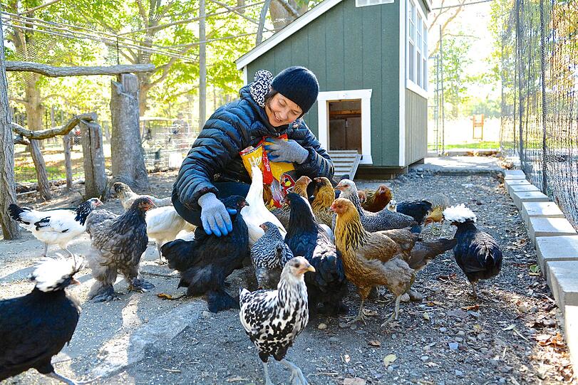Rossellini lebt mit 80 Hühnern, Hunden, Katzen, Bienen, Truthähnen, Schafen und Schweinen auf einer Farm in der Nähe von New York
