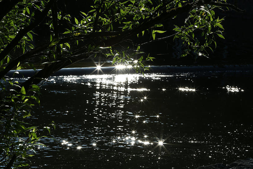 Was für eine prächtige Morgenstimmung am Schwabinger See: Es funkelt und glitzert.