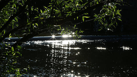 Was für eine prächtige Morgenstimmung am Schwabinger See: Es funkelt und glitzert.
