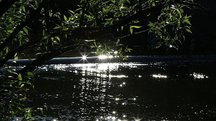 Was für eine prächtige Morgenstimmung am Schwabinger See: Es funkelt und glitzert.