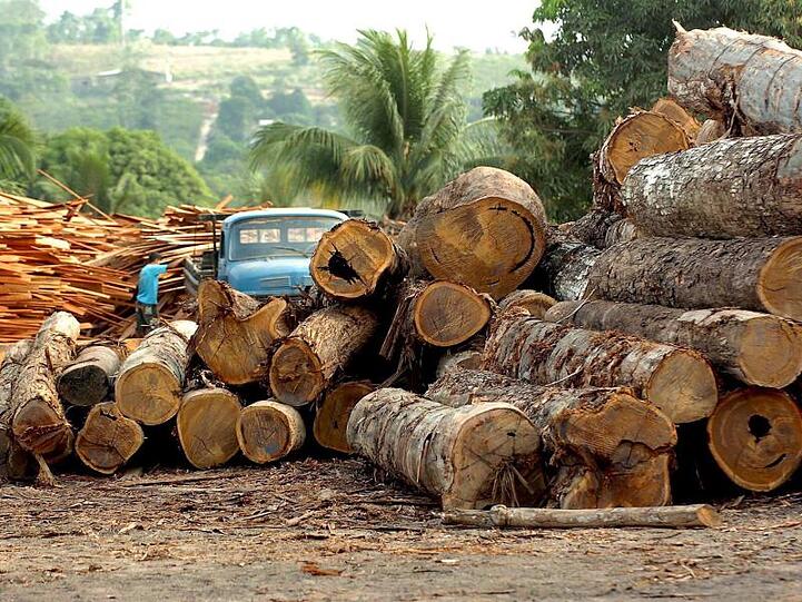 Eine Holzfabrik in Brasilien. Bundesumweltministerin Schulze hat sich für ein Lieferkettengesetz ausgesprochen, das deutsche Unternehmen zur Einhaltung von Menschenrechts- und Umweltstandards auch bei Zulieferfirmen im Ausland verpflichtet.