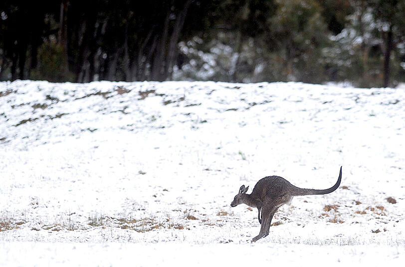 In den Blue Mountains westlich von Sydney wird mit Schnee gerechnet.
