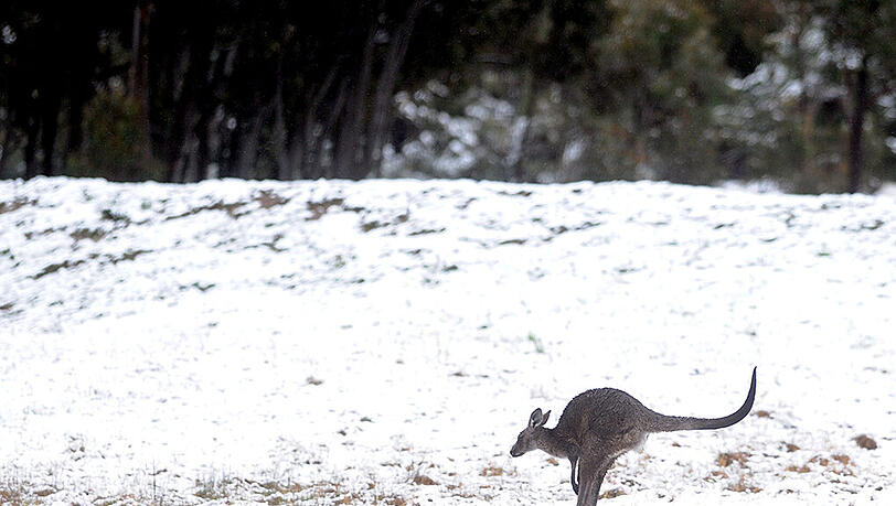 In den Blue Mountains westlich von Sydney wird mit Schnee gerechnet. In den Blue Mountains westlich von Sydney wird mit Schnee gerechnet.