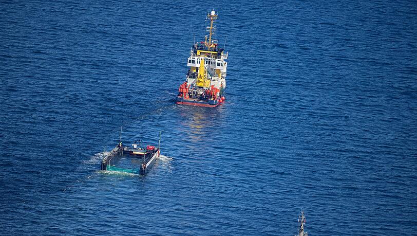 Das Transportschiff mit dem Wal ist seit mehreren Tagen unterwegs.