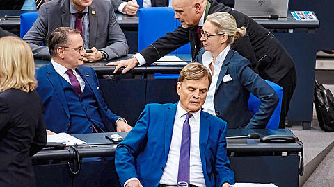 Am Donnerstagabend könnte es in der Führungsriege der AfD heiß hergehen: Eine Gruppe von Abgeordneten bringt dann mit einigen Unterstützern einen Antrag für ein Verbot der rechtspopulistischen Partei ein.