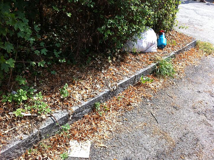 Hier hat jemand seinen Müll im Gebüsch geparkt. Kein schönes Umfeld für die Kindergartenkinder.