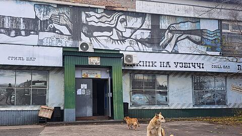 Tagelang berichteten internationale Medien über "blaue Hunde" in Tschernobyl. Im radioaktiv belasteten Sperrgebiet bezeichnet man die Berichte als Unsinn.