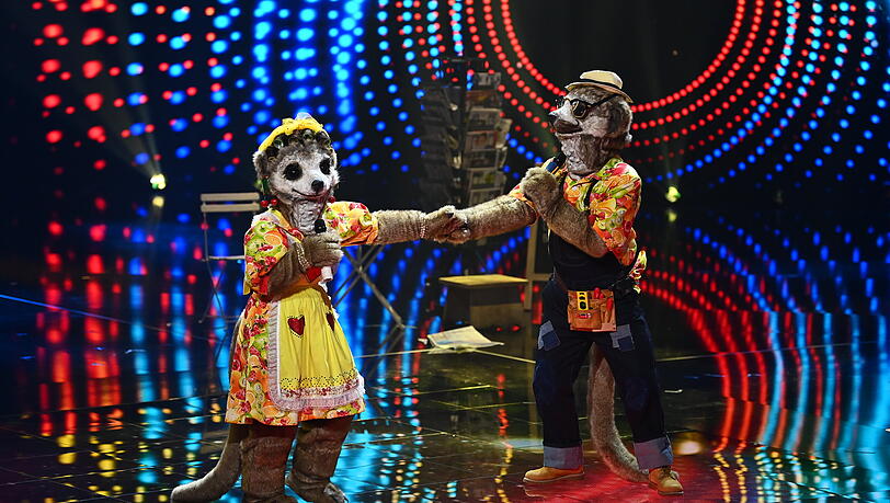 Überraschung bei "The Masked Singer": Zum ersten Mal stand ein verkleidetes Pärchen auf der Bühne.