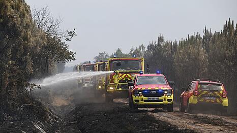 Die Feuerwehr k&auml;mpft weiter mit einem Gro&szlig;aufgebot gegen die Waldbr&auml;nde bei Bordeaux.