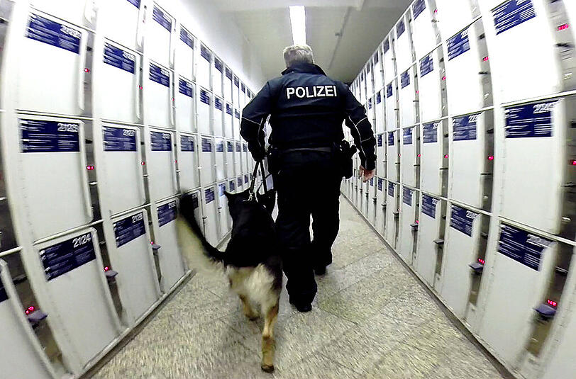 Auch Spürhunde sind seit den Terror-Anschlägen vermehrt im Einsatz.