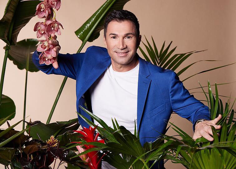 Sänger Lucas Cordalis: 80.000 bis 150.000 Euro