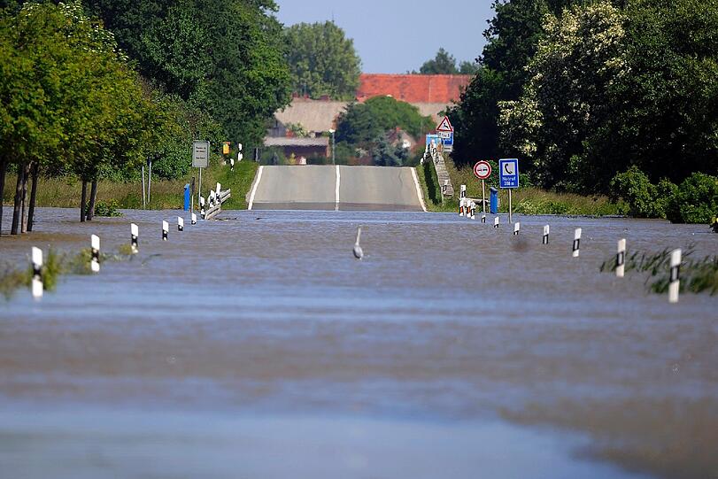 Deichbruch bei Fischbeck in Sachsen-Anhalt - Aktuelle Bilder vom Hochwasser