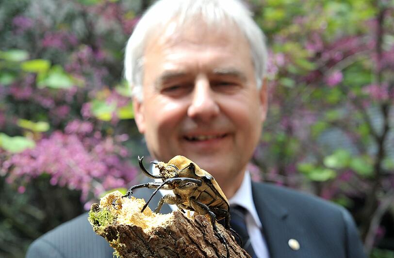 Stellte Umweltreferent Peter Pluschke fast in den Schatten: Der Elefantenkäfer aus dem &bdquo;rollenden Insektarium&ldquo;.