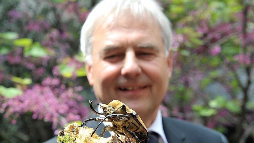 Stellte Umweltreferent Peter Pluschke fast in den Schatten: Der Elefantenkäfer aus dem „rollenden Insektarium“. Stellte Umweltreferent Peter Pluschke fast in den Schatten: Der Elefantenkäfer aus dem „rollenden Insektarium“.