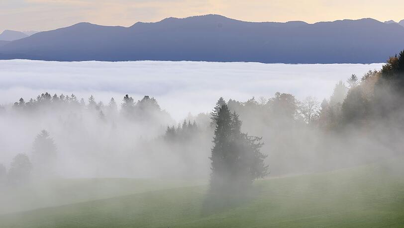 Der Deutsche Wetterdienst prognostiziert Nebel und schlechte Sicht (Symbolbild).