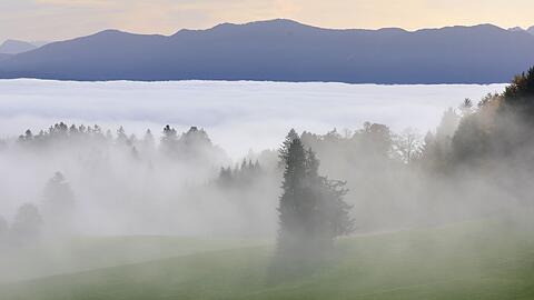 Der Deutsche Wetterdienst prognostiziert Nebel und schlechte Sicht (Symbolbild).