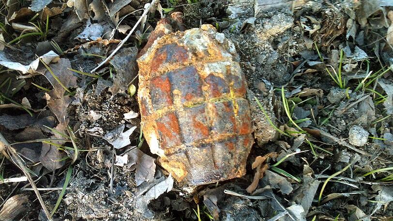 Eine verrostete Handgranate liegt im Bürgerpark in Bremen. (Symbolbild)