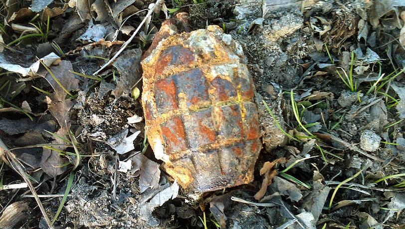 Eine verrostete Handgranate liegt im Bürgerpark in Bremen. (Symbolbild) Eine verrostete Handgranate liegt im Bürgerpark in Bremen. (Symbolbild)