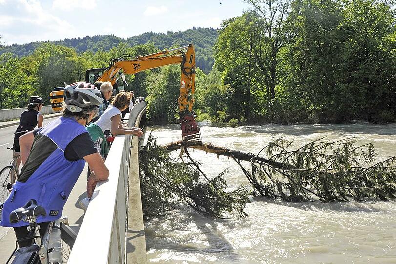 Bäume bleiben an der Isar bei Schäftlarn an der Brücke hängen