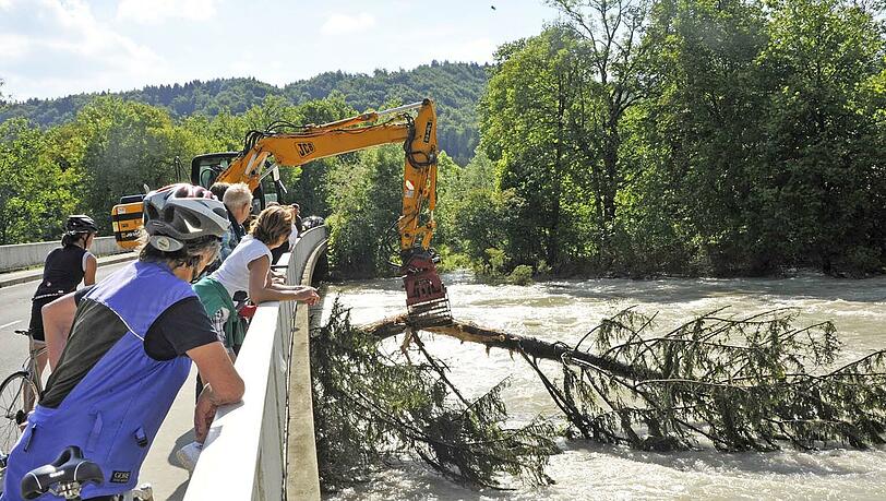 Bäume bleiben an der Isar bei Schäftlarn an der Brücke hängen Bäume bleiben an der Isar bei Schäftlarn an der Brücke hängen