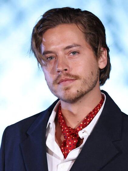 Dylan Sprouse kam der Polizei auf seinem Grundst&uuml;ck zuvor.