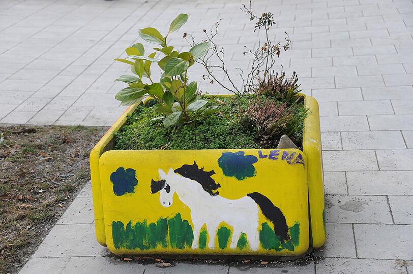 Mit diesem Blumenkübel an der Pilgersheimer Straße wird an "Lena" gedacht.