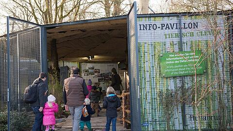Im Info-Pavillon über das Elefantenhaus können sich Groß und Klein schlau machen.
