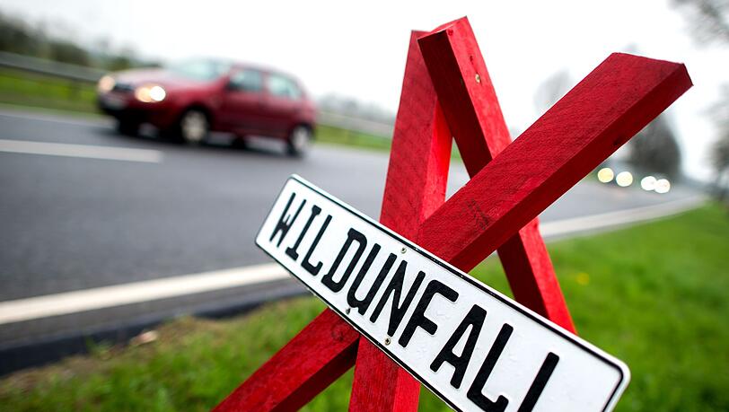 Ein Warnschild an der Stelle eines Wildunfalls in Deutschland. (Symbolbild)