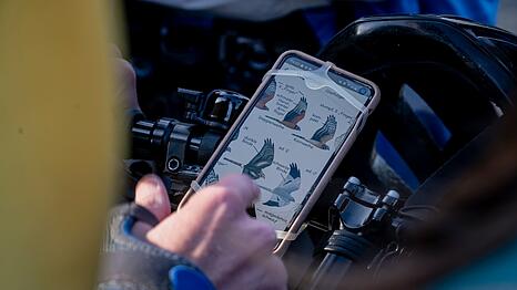 Vogel-Bestimmung via Smartphone.