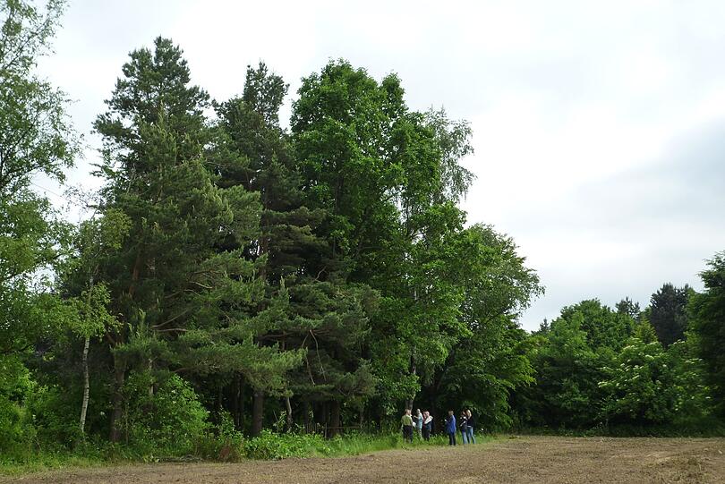 Noch gibt es viel Grün im Entwicklungsgebiet Nordost jenseits der S-8- Trasse. Wie hier an der Stegmühlstraße, wo Naturschützer sich umsehen.