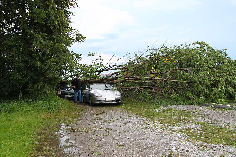 Hagel, Regen, umgeknickte Bäume, vollgelaufene Keller - Heftige Unwetter sind am Mittwochabend über Bayern gezogen. Die Bilder.