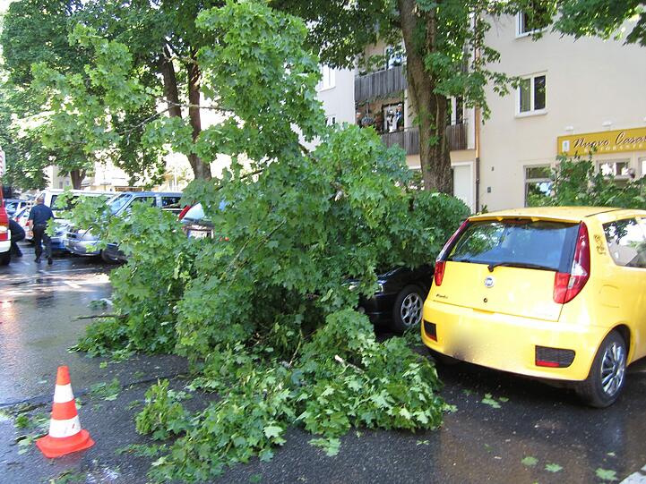 Die Bilder vom beim Gewitter völlig zerstörten Auto und dem unheilbringenden Ast.