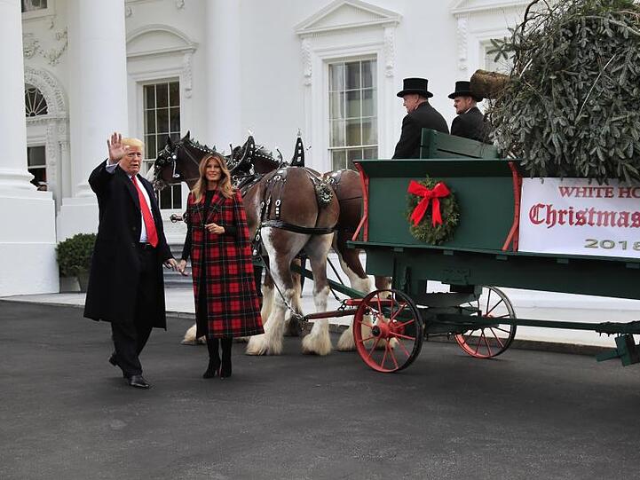 Donald und Melania Trump freuen sich über ihren Weihnachtsbaum.