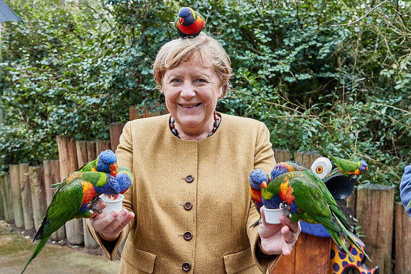 Schön ausbalancieren, Frau Merkel!