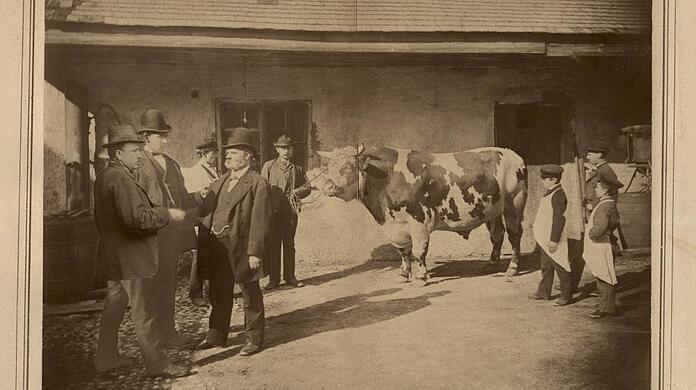 Eine Postkarte, die an die Öffnung des Schlachthofs 1878 erinnern sollte.