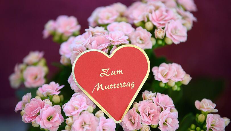 Blumen sind der Klassiker schlechthin zum Muttertag.