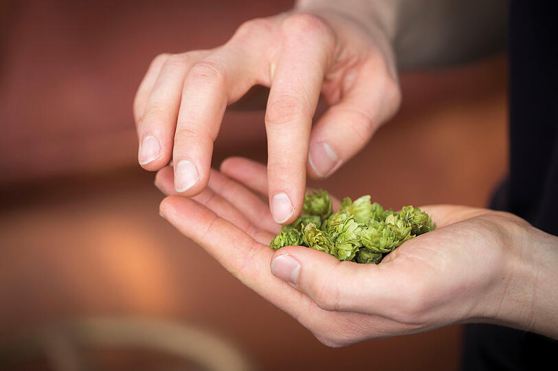 Bei Lammsbr&auml;u wird nur Hopfen verwendet, der vorher nicht weiterverarbeitet worden ist. Dadurch gehen keine Aromen verloren und es wird auch nicht zus&auml;tzliche Energie verschwendet.